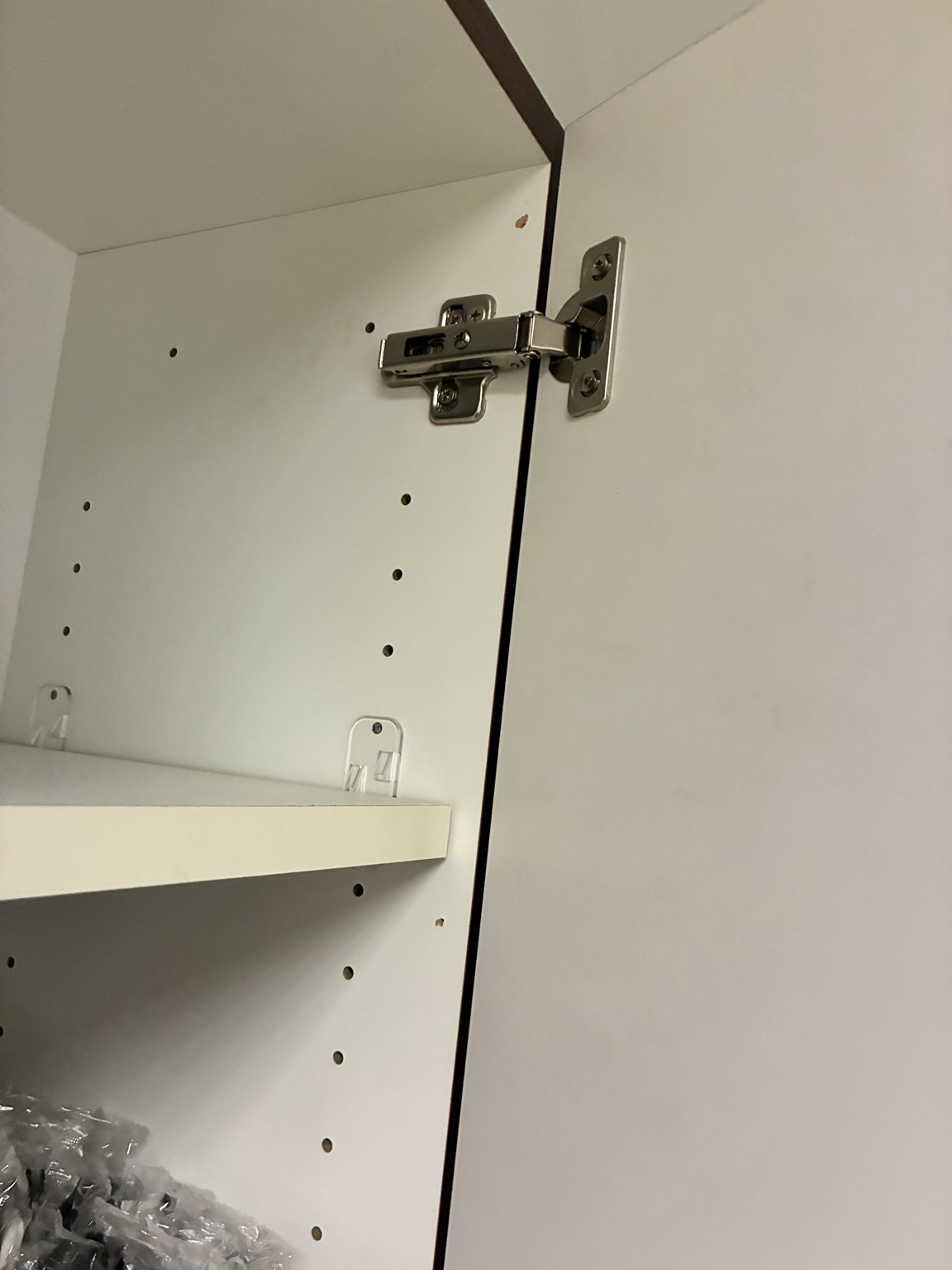Cabinet hinge and door gap showing alignment